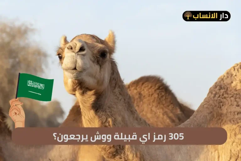 305 رمز اي قبيلة