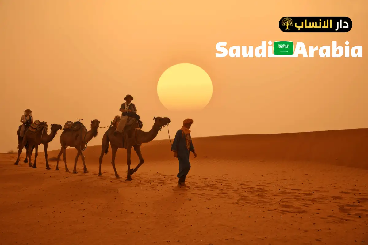 501 رمز اي قبيلة