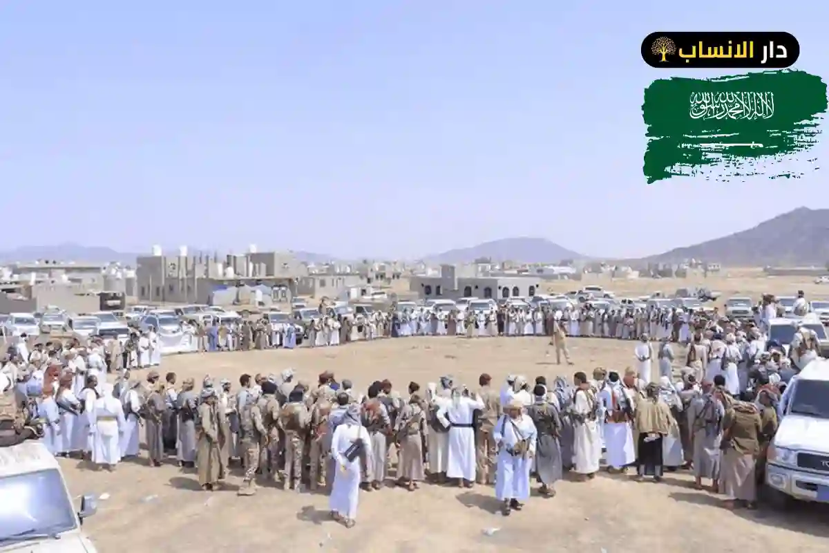 502 رمز اي قبيلة