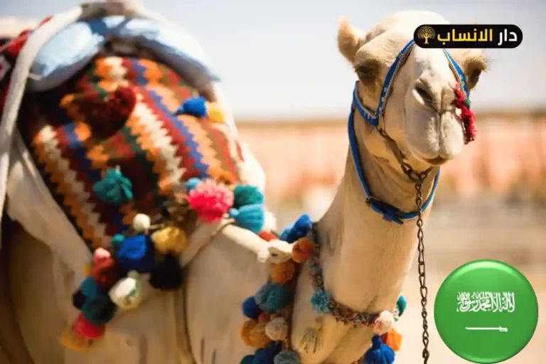 506 رمز اي قبيلة