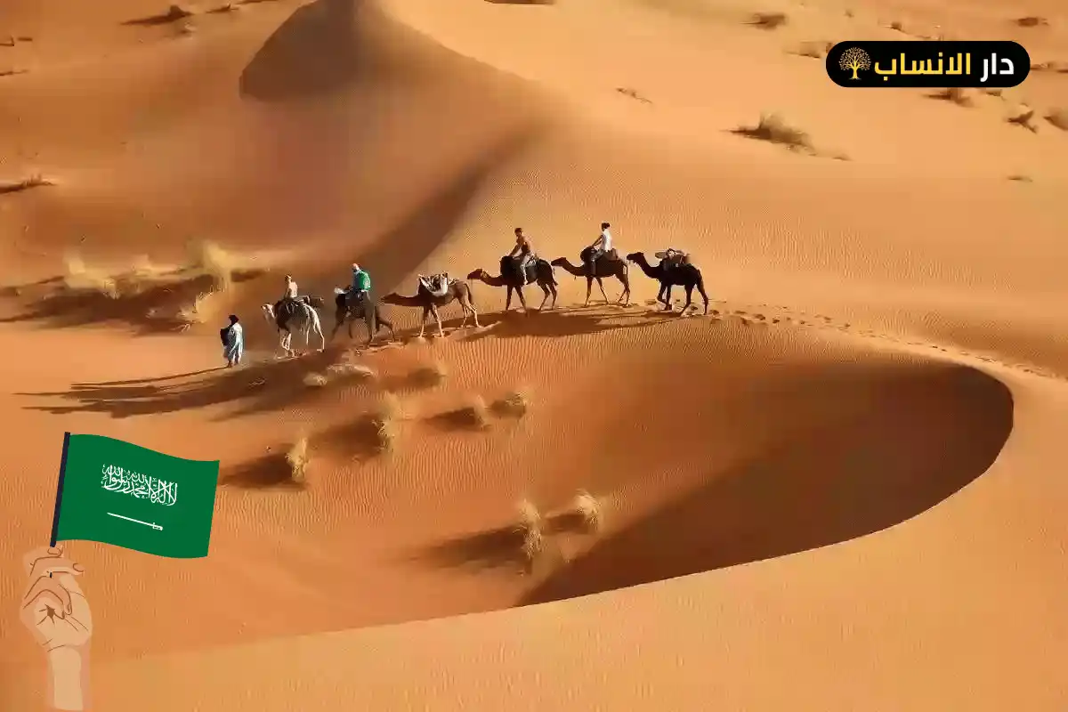 511 رمز اي قبيلة