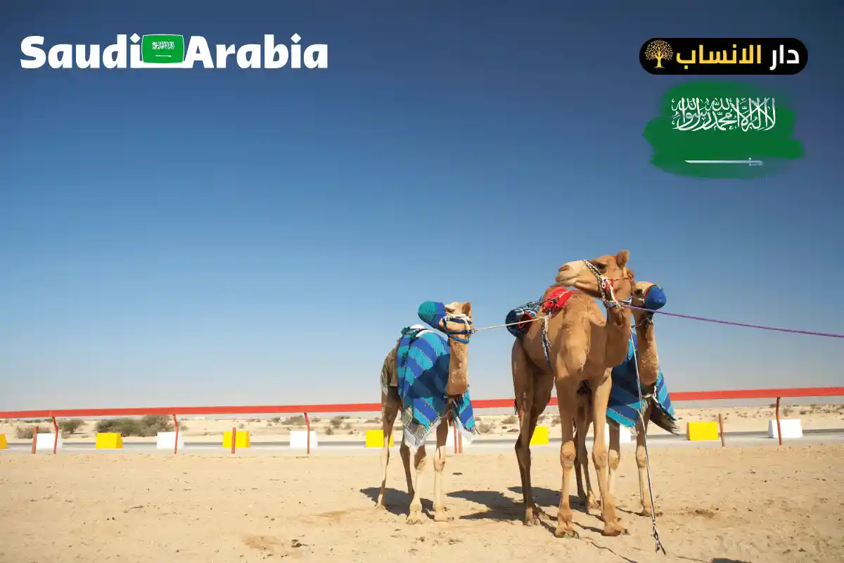 555 رمز اي قبيلة