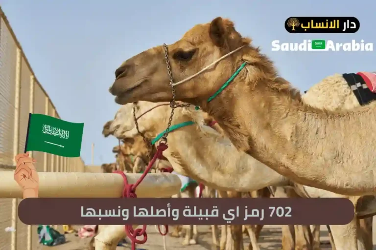 702 رمز اي قبيلة