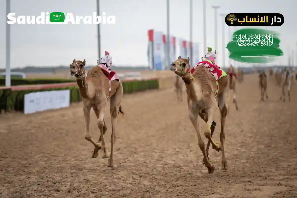 702 رمز اي قبيلة