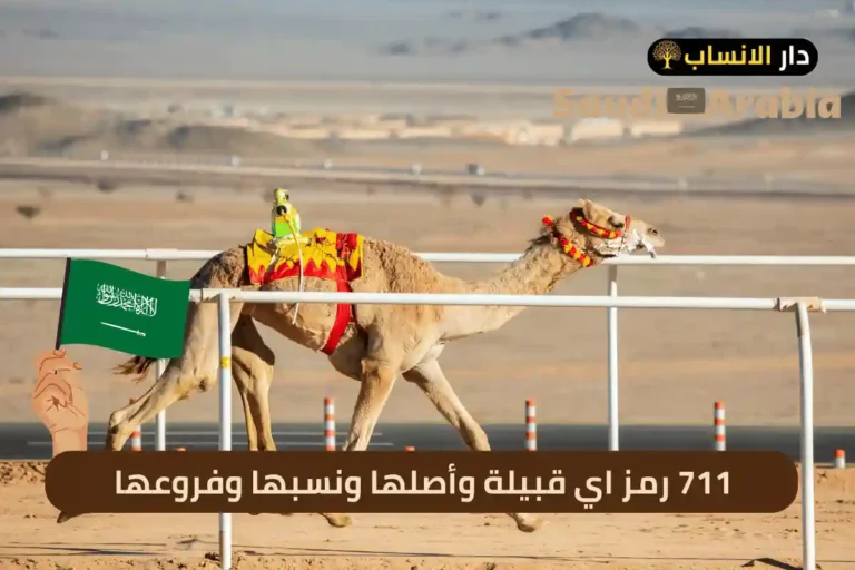 711 رمز اي قبيلة