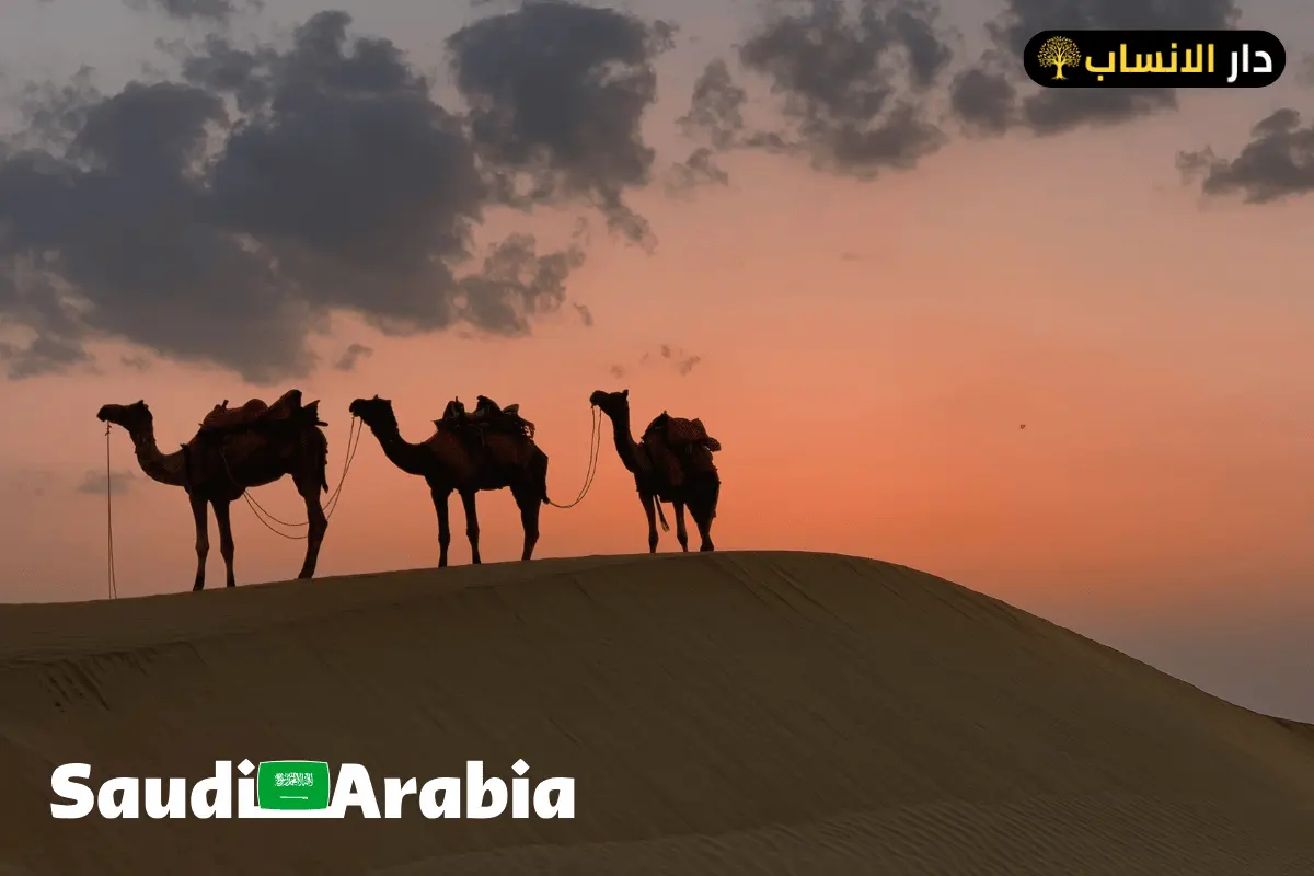 909 رمز اي قبيلة