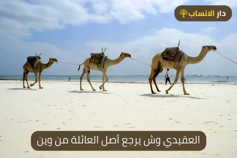 العقيدي وش يرجع أصل العائلة من وين