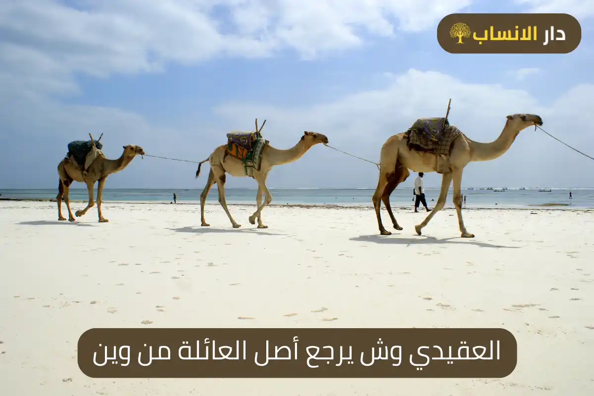 العقيدي وش يرجع أصل العائلة من وين
