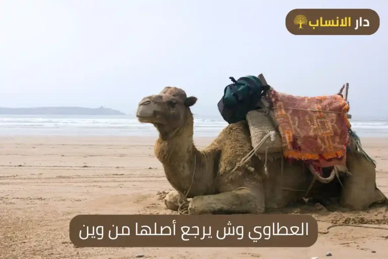 العطاوي وش يرجع أصلها من وين