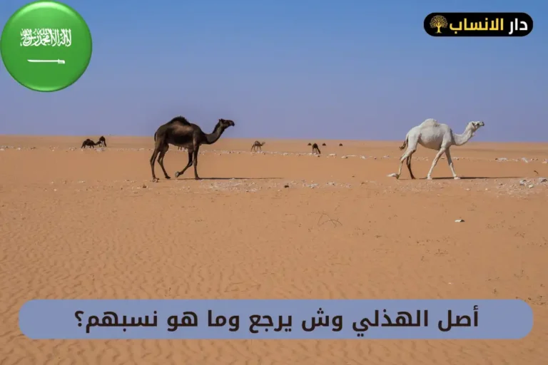الهذلي وش يرجع