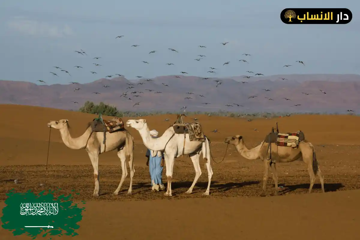 الهذلي وش يرجع
