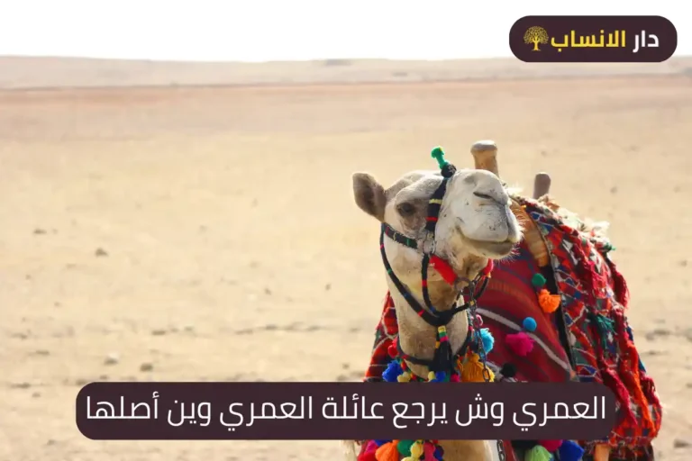 العمري وش يرجع عائلة العمري وين أصلها