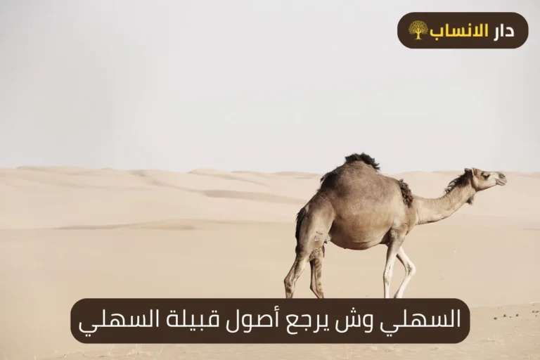 السهلي وش يرجع أصول قبيلة السهلي