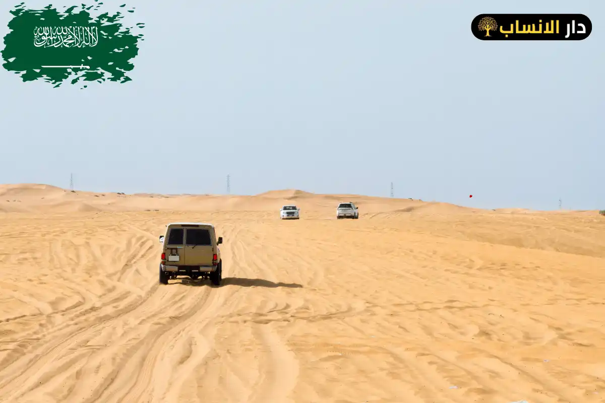 الشلوي وش يرجع