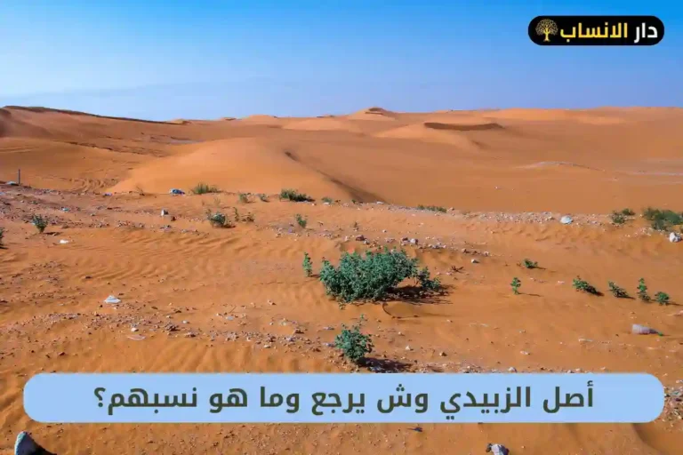 الزبيدي وش يرجع