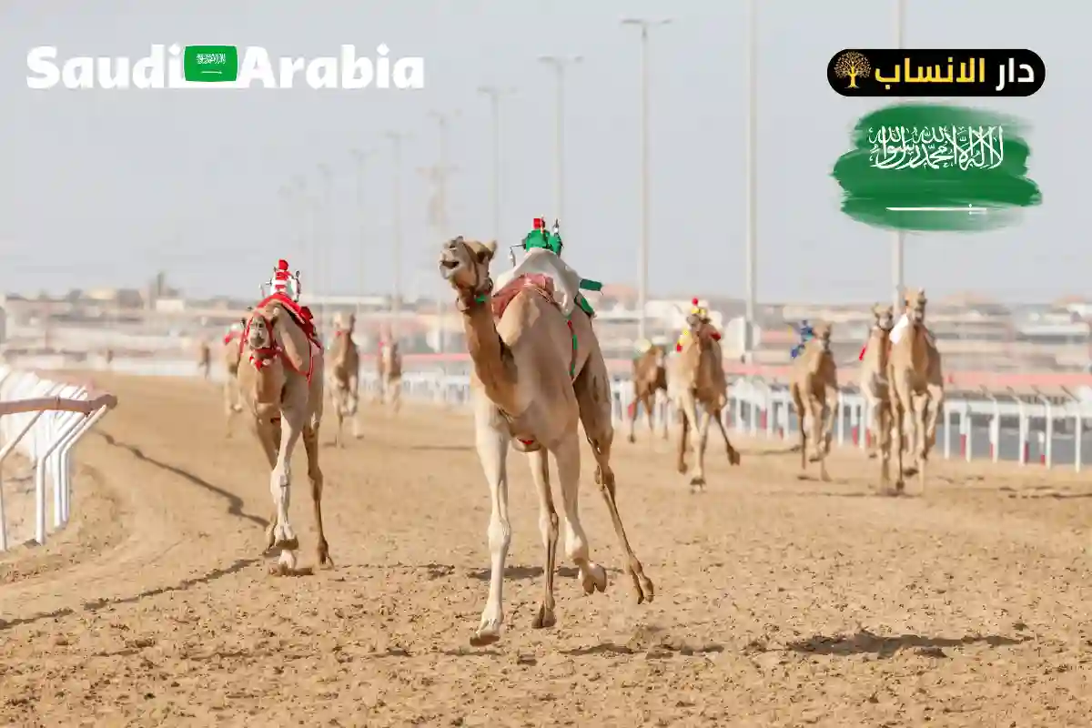 رمز قبيلة عسير
