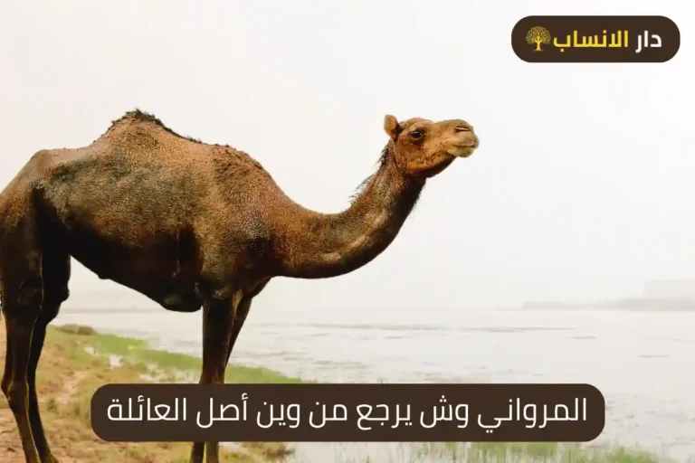 المرواني وش يرجع من وين أصل العائلة