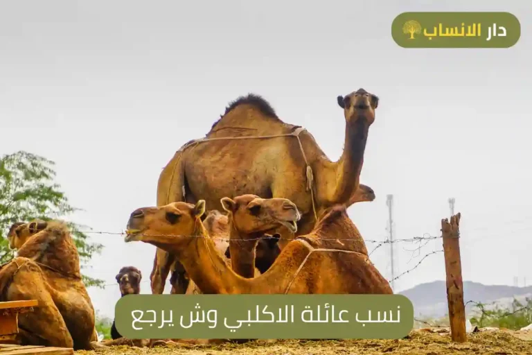 نسب عائلة الاكلبي وش يرجع