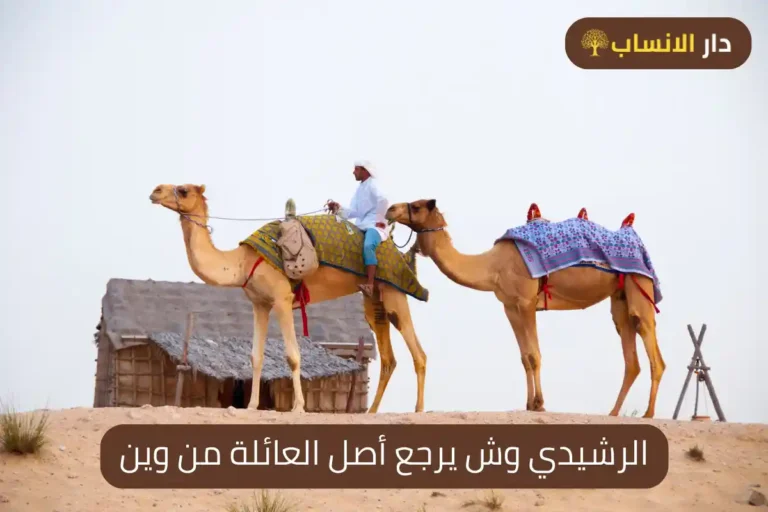 الرشيدي وش يرجع أصل العائلة من وين