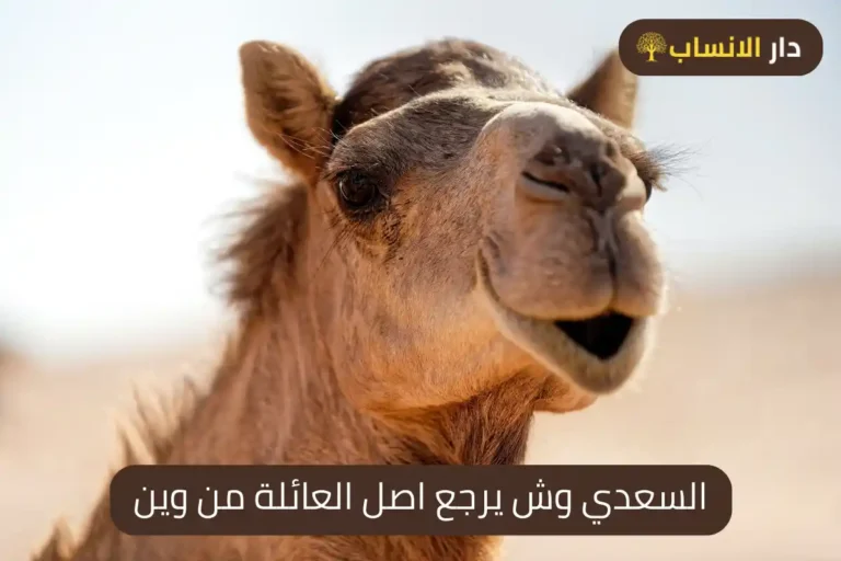 السعدي وش يرجع اصل العائلة من وين