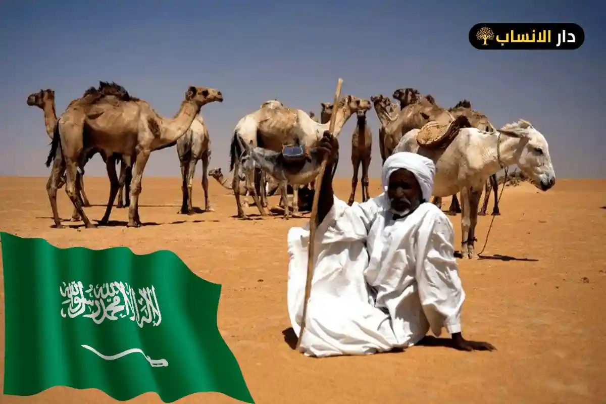 رمز قبيلة حرب