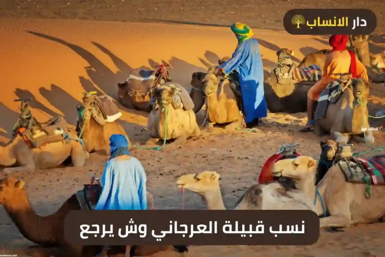 نسب قبيلة العرجاني وش يرجع