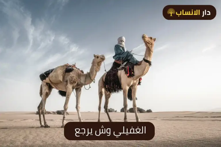 الغفيلي وش يرجع وما أصل شجرة عائلة الغفيلي