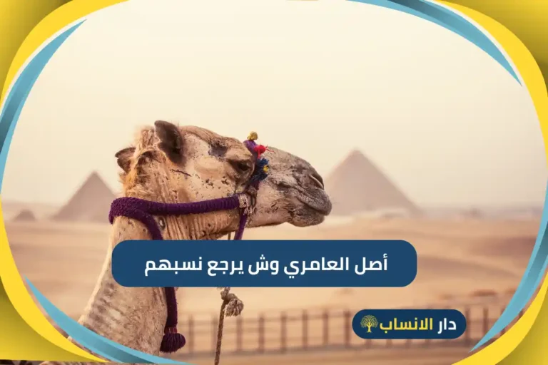 أصل العامري وش يرجع نسبهم
