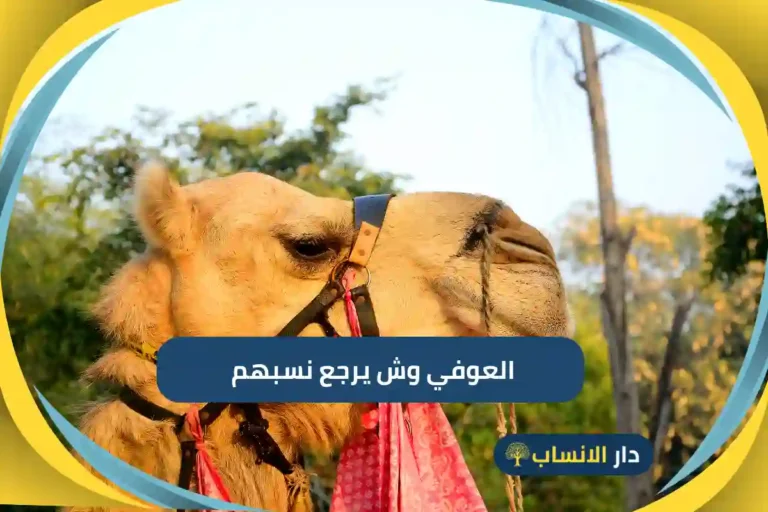 العوفي وش يرجع نسبهم