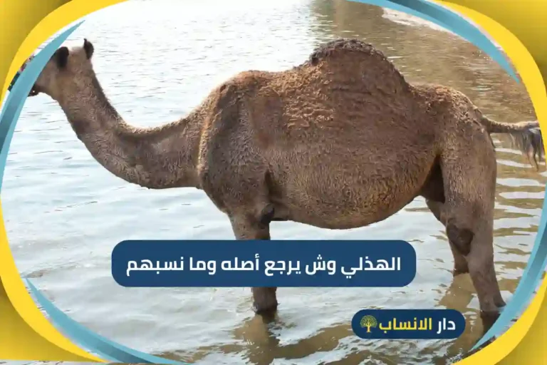 الهذلي وش يرجع أصله وما نسبهم