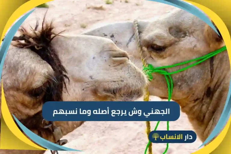 الجهني وش يرجع أصله وما نسبهم؟