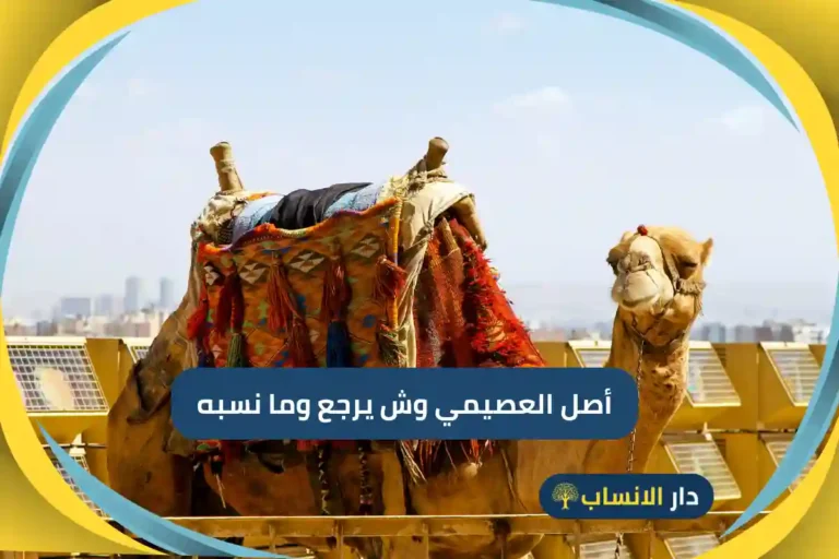 أصل العصيمي وش يرجع وما نسبه