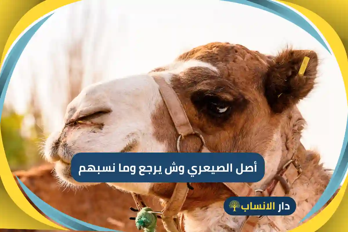 أصل الصيعري وش يرجع وما نسبهم