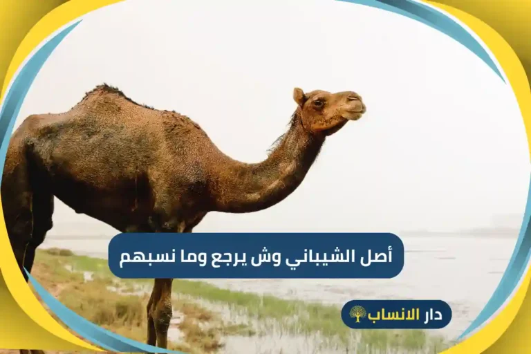أصل الشيباني وش يرجع وما نسبهم