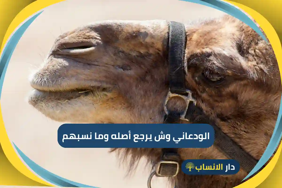 الودعاني وش يرجع أصله وما نسبهم