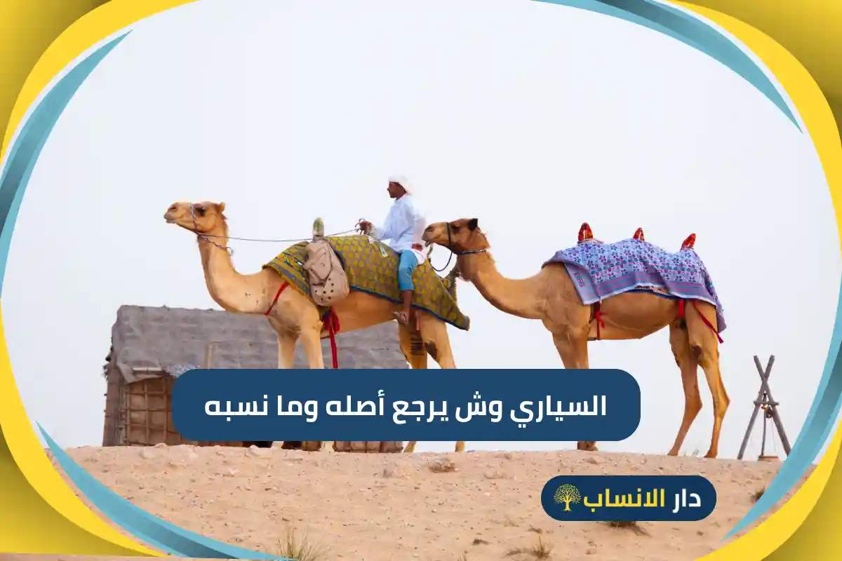 السياري وش يرجع أصله وما نسبه