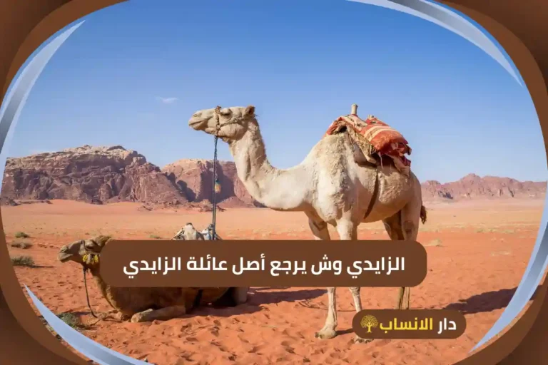 الزايدي وش يرجع