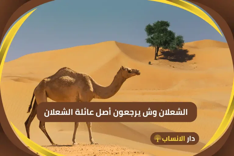 الكثيري وش يرجع وما أصل قبيلة آل كثير والفخايذ - دار الانساب
