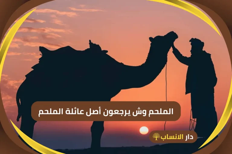 الروقي وش يرجع أصل عائلة الروقي - دار الانساب