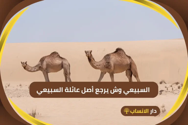 السبيعي وش يرجع