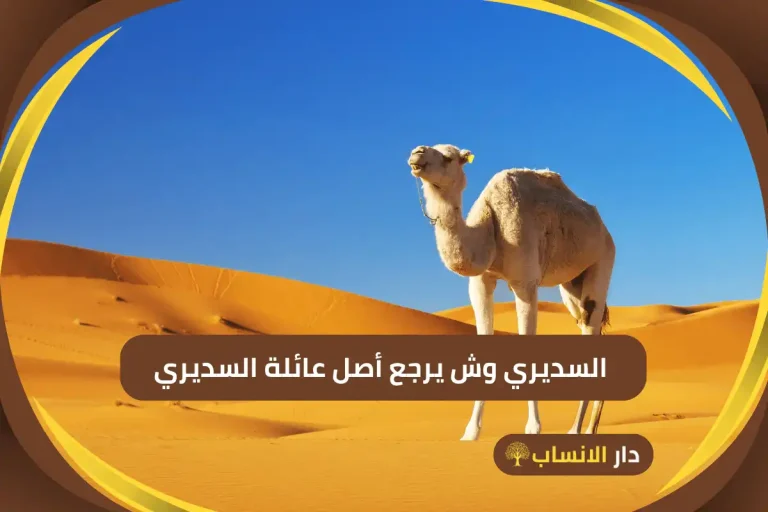 السديري وش يرجعون
