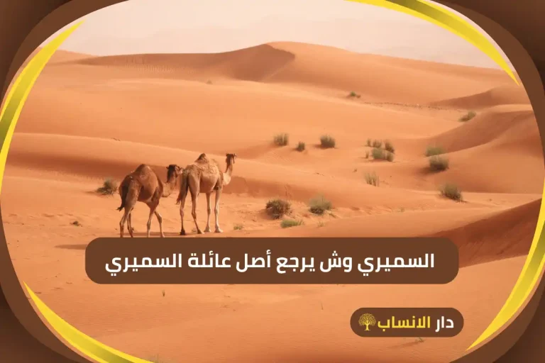 السميري وش يرجع