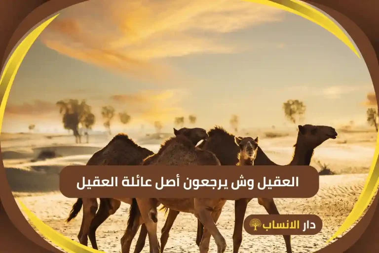 العقيل وش يرجعون