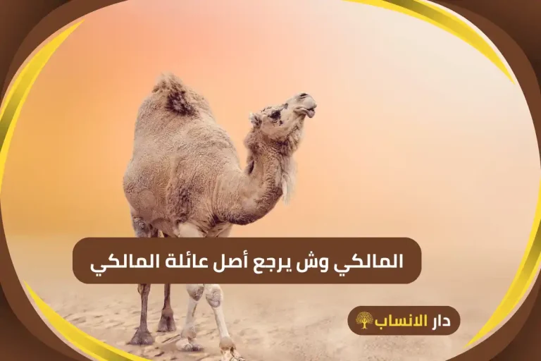 المالكي وش يرجع
