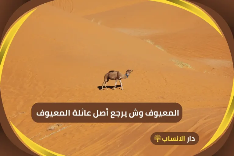 المعيوف وش يرجع