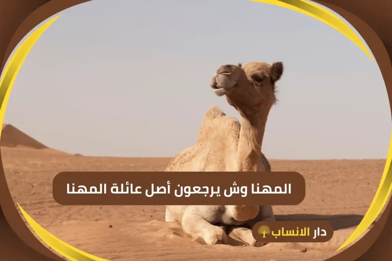 المهنا وش يرجعون