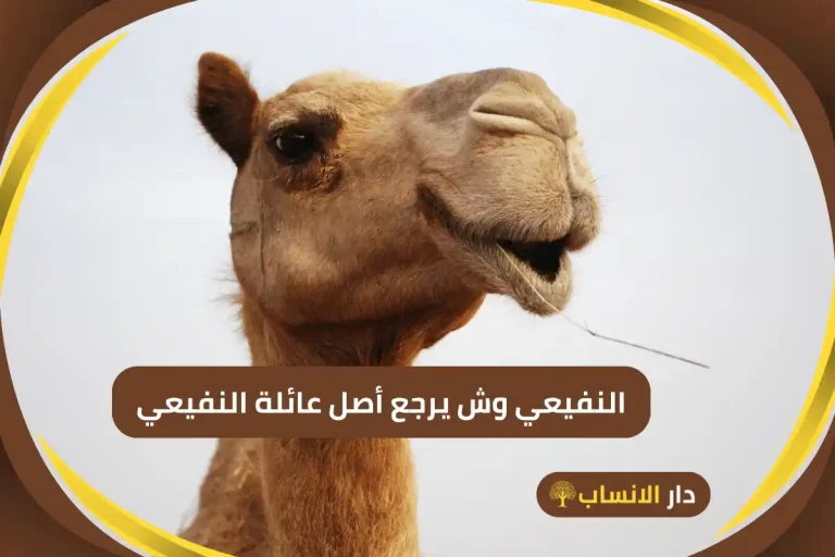 النفيعي وش يرجع