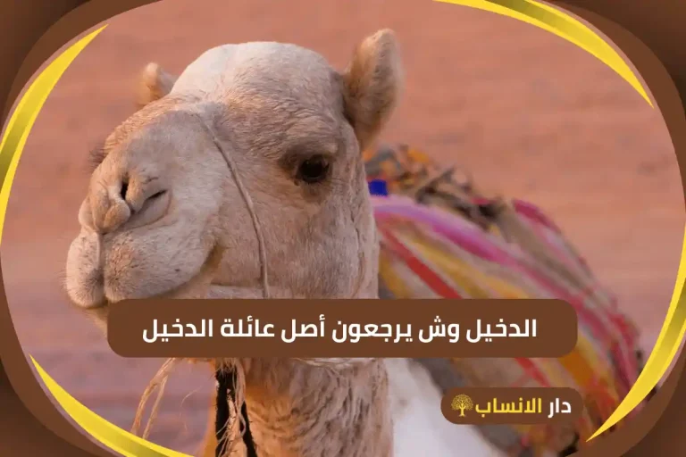 الدخيل وش يرجعون