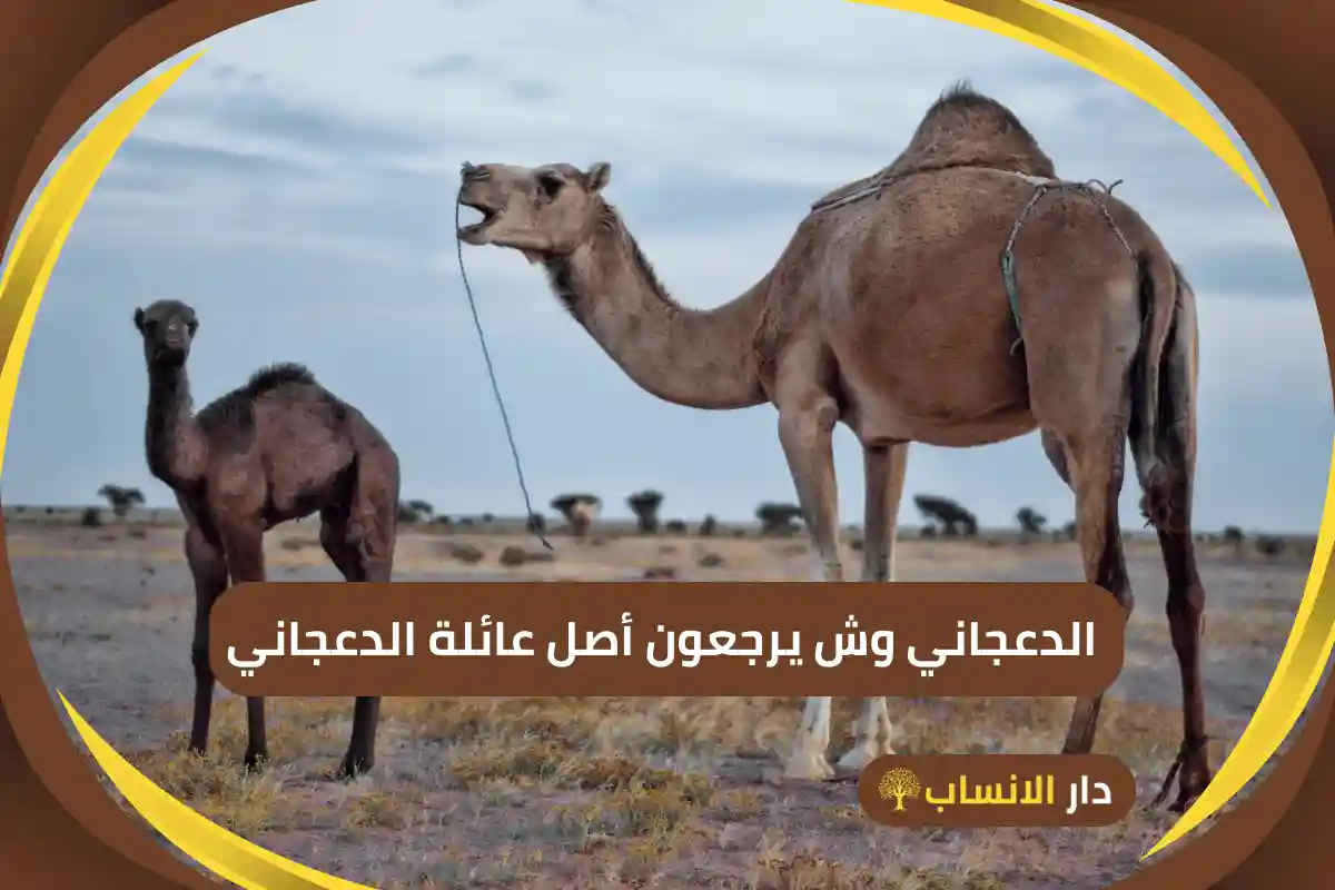 الدعجاني وش يرجع