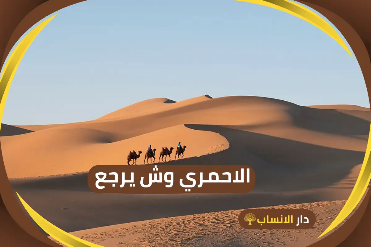 الاحمري وش يرجع وأصولهم وشجرة قبيلة الاحمري - دار الانساب